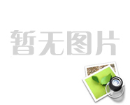 公司组织礼仪培训会