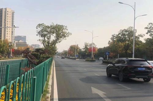 习友路（天都路-紫蓬路）路灯照明工程
